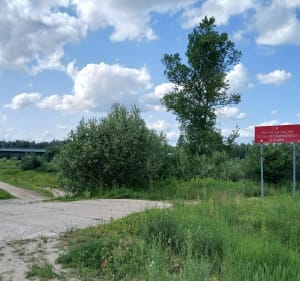 Dolina rzeki Wisły w Płocku - Płock - 2