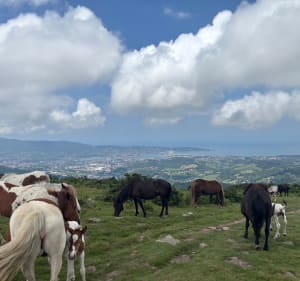 Tour de Xoldoko Gaina et vue panoramique - Biriatou - 2
