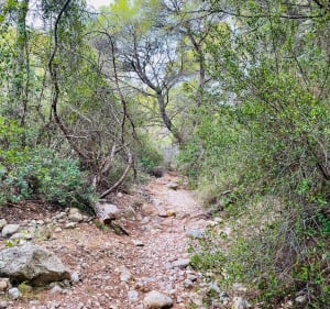 Font de la Parra y Cova de la Pont - partida ribamer - 2