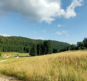 Tour du site de la Praille - Plateau d'Hauteville - 2