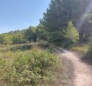 Claper dels Gegants, en partant de Font de sa Cala - Capdepera - 2
