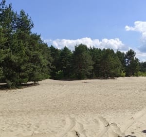 Julianka-Złoty Potok-Pustynia Siedlecka-Poraj Marina - Julianka - 2