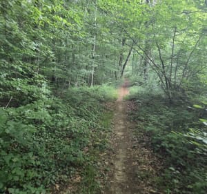 Rando VTT depuis Angecourt - Servan - 2