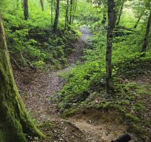 Rando VTT depuis Angecourt - Angecourt - 2