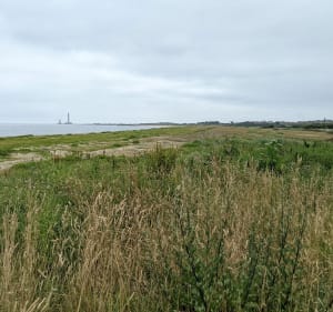 Balade à Néville sur mer - Vicq-sur-Mer - 2