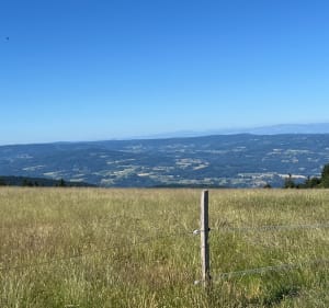 La montée des radars depuis Trelins - Trelins - 2