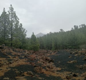 Volcan Chinyero depuis San José - San José de los Llanos - 3