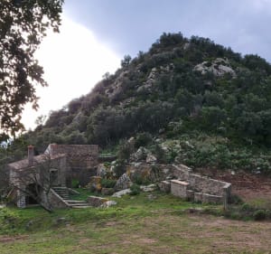 Du Perthus au col de l'Auleda par le saut del Fito - Le Perthus - 2