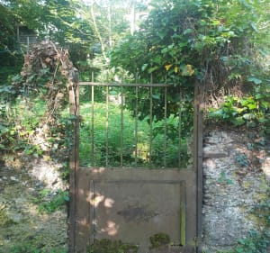 Étang de l'Aubépin et cité de Pérouges - Meximieux - 2