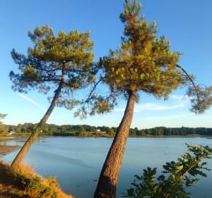 Panorama sur le Golfe - Baden - 2