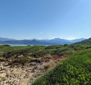 Plage de Stagnone jusqu'à la Tour d'Ancone - Calcatoggio - 2