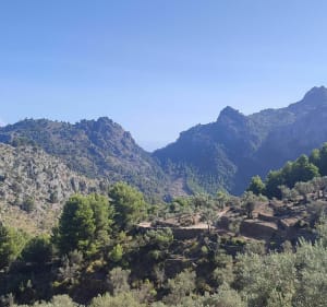 Mirador Ses Barques vers Cala Tuent avec des belles vues - Fornalutx - 2