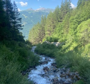 Balade du Puy Chirouzan - La Salle-les-Alpes - 2