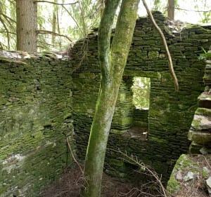 Sur le chemin de Broussous - Vebron - 2