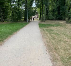 Nowa Sól - Niedoradz - Zatonie - Ługi - Nowa Sól - marcin - 3