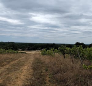 Tour de VTT - Steeve - 2