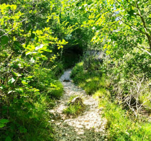 Pont de Tusset et belvédère de Rancoumas - Rougon - 2