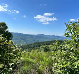 Solbach, Mont Saint-Jean et Col de la Pérheux - Solbach - 2