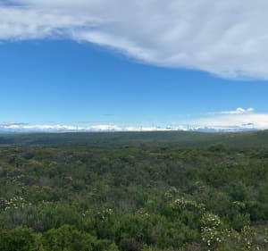 Balade en garrigue - Saint-Pargoire - 2
