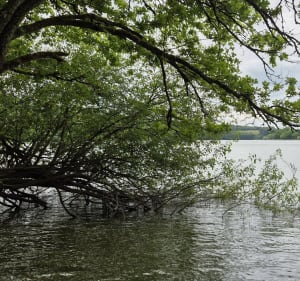 Randonnée en Breux au lac de Pannecière - Chaumard - 2