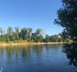 Balade à vélo vers Ingrandes - Loireauxence - 2