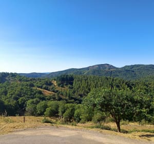 Petite balade du camping la Marette - Michel - 3