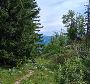 Mont Colombier au départ de Montlardier - Le Châtelard - 2