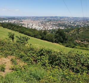 De Solaire à Planfoy et retour par le Guizay - Saint-Étienne - 2