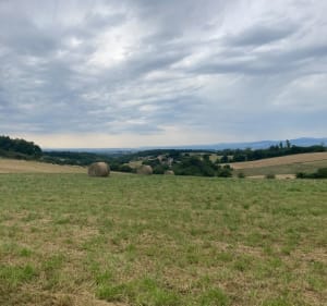 De Chasse à Vienne - Chasse-sur-Rhône - 2