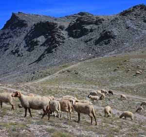 Queyras - Suikerbroodwandeling - Molines-en-Queyras - 2