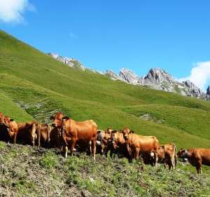 Le Grand Mont depuis Cuvy - Decathlon - 3