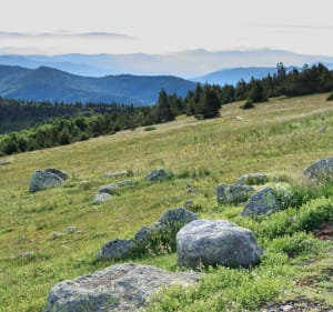 Balade forestière autour du Mont Aigoual - Val-d'Aigoual - 2