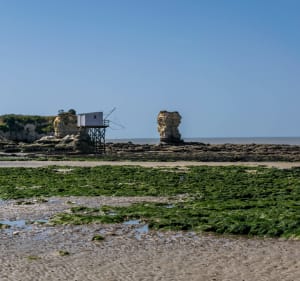 Balade entre forêt, marais et Conche de Saint-Georges-de-Didonne - Decathlon - 2