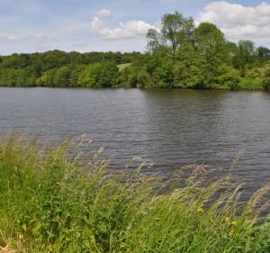 La Vallée de la Mayenne à vélo, Château-Gontier à Le Lion-d'Angers (Jour 3) - Château-Gontier-sur-Mayenne - 2
