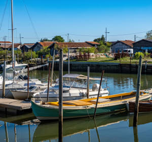 Tour du Bassin d'Arcachon depuis La Teste de Buch - La Teste-de-Buch - 2