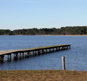 Balade à vélo au Lac de Biscarosse - Biscarrosse - 2
