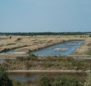 Promenade à vélo dans les marais de Saint-Pierre-d'Oléron - Decathlon - 4