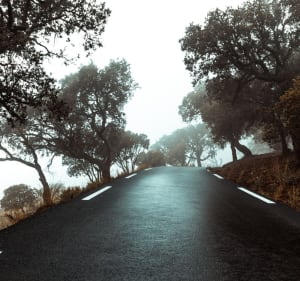 De Col du Canadel en de bergkammen - Rayol-Canadel-sur-Mer - 2