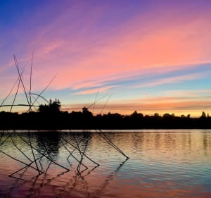 Boucle autour du Lac au Duc - Ploërmel - 2