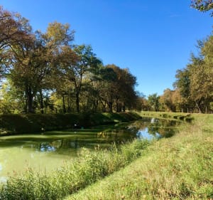Coulée Verte et voie bleu à Montauban - Montauban - 2