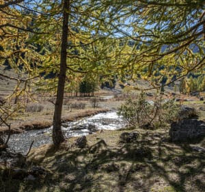 Balade entre Lac de l'Orceyrette et réserve biologique - Villar-Saint-Pancrace - 4