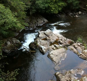 Randonnée au Saut de Gouloux et boucle dans les Bois de la Faye - Gouloux - 2