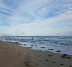 Gruissan, voir les flamands roses et la Plage des Ayguades - Gruissan - 4