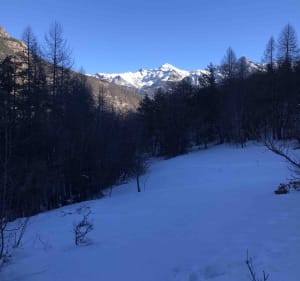 Découverte forestière du Cloutas - Les Vigneaux - 2