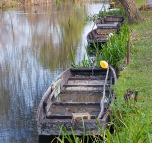 Promenade dans les Marais de Bourges - Bourges - 4
