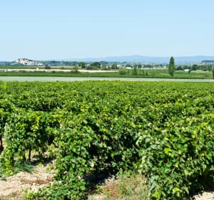 Canal du Midi : Argens-Minervois - Argens-Minervois - 2