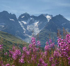 Rouler sur les pentes au Col du Lautaret - Villar-d'Arène - 2