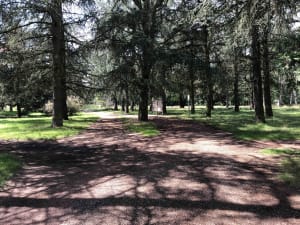Parc de Parilly et parenthèse feuillue - Decathlon - 3