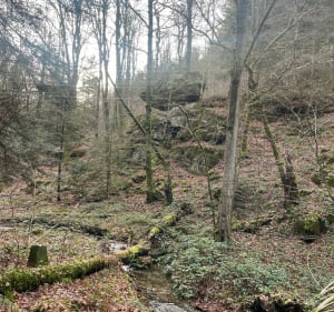 Vallon Saint Martin - CAROLE - 3