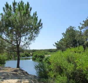 Pédaler autour du Lac de Souston - Decathlon - 3